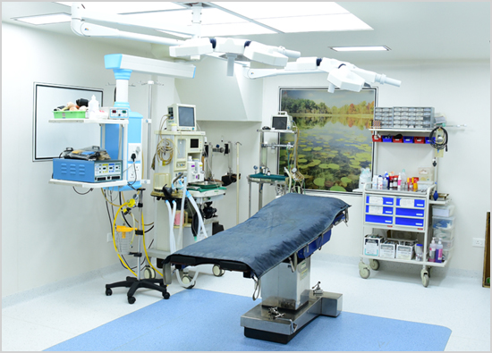 Shree Hospital And Critical Care Orthopedic Hospital In Nagpur Critical Care Hospital In Nagpur Eye Hospital In Nagpur Cardiologist In Nagpur Oncologist In Nagpur Paediatric Surgeon In Nagpur Urologist In Nagpur Dermatologist In Nagpur Radilogist